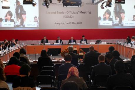 APEC tập trung chuẩn bị thành lập FTA của khu vực