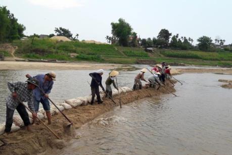 Quảng Ngãi khơi dòng, làm đập tạm lấy nước cứu lúa