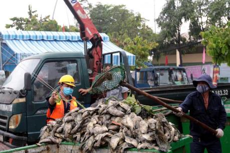 Đã xử lý xong số cá chết và ô nhiễm môi trường trên kênh Nhiêu Lộc - Thị Nghè