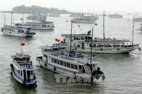 Đình chỉ hoạt động tàu du lịch trên vịnh Hạ Long của doanh nghiệp nợ đọng thuế