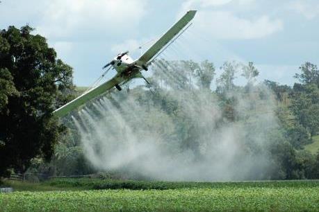 Hàng chục học sinh và giáo viên bị ngộ độc do hít phải thuốc diệt cỏ