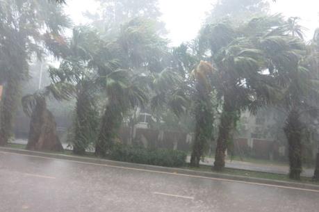 Dự báo thời tiết 20/5: Miền Bắc nắng nóng chiều tối mưa dông