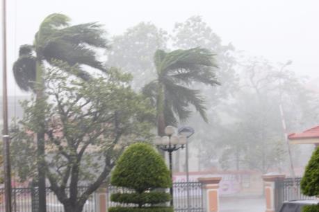 Dự báo thời tiết 2 ngày cuối tuần: Đề phòng tố lốc, mưa đá và gió giật mạnh