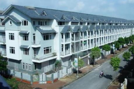 Xu hướng mua đấu giá bất động sản gia tăng ở CH Czech