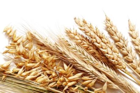 Nhìn lại thị trường nông sản Mỹ tuần qua