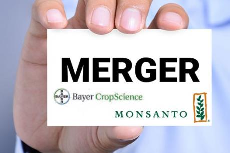 Tập đoàn Bayer lên kế hoạch thâu tóm đối thủ Monsanto