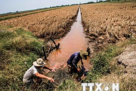 Nhật Bản hỗ trợ 2,5 triệu USD giúp Việt Nam khắc phục thiệt hại do hạn hán, ngập mặn