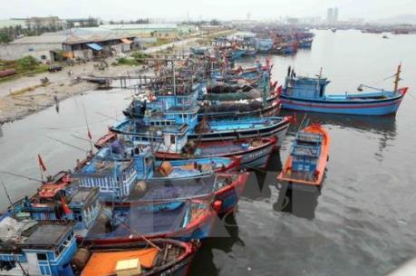 Dự báo thời tiết đêm 24/5, ngày 25/5: Mưa dông trên diện rộng