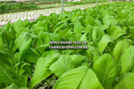 Nông nghiệp hữu cơ: Chặng đường còn xa