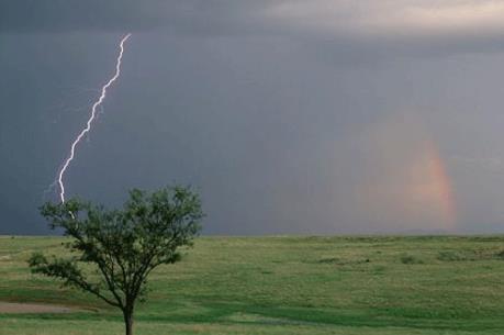 Quảng Nam: Một phụ nữ bị sét đánh chết trong cơn mưa dông đầu mùa