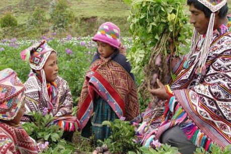 Trung Quốc tính toán rót 700 triệu USD vào ngành nông nghiệp Peru
