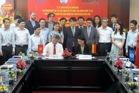 ILO hỗ trợ hợp tác xã phát triển bền vững