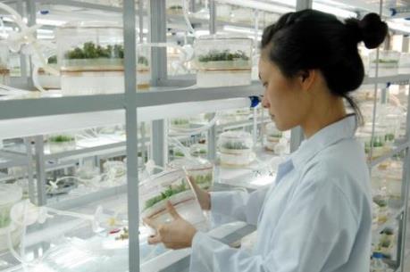 Doanh nghiệp Việt chưa đủ sức đầu tư cho khoa học công nghệ