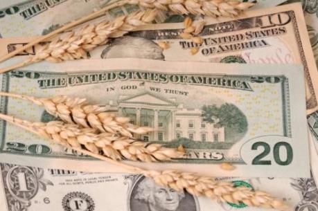 Điểm lại thị trường nông sản Mỹ tuần qua