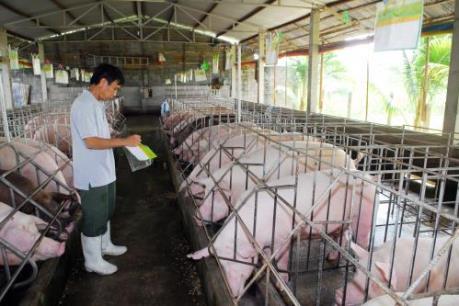 Tập đoàn Cargill tiếp tục đầu tư vào lĩnh vực sản xuất thức ăn chăn nuôi ở Việt Nam