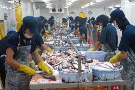 Hoa Kỳ cảnh báo hai doanh nghiệp cá da trơn Việt Nam