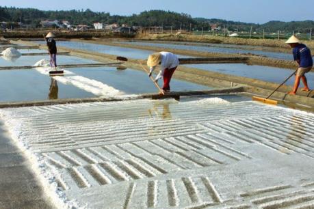 Kết luận mới nhất về các mẫu muối ở Hà Tĩnh