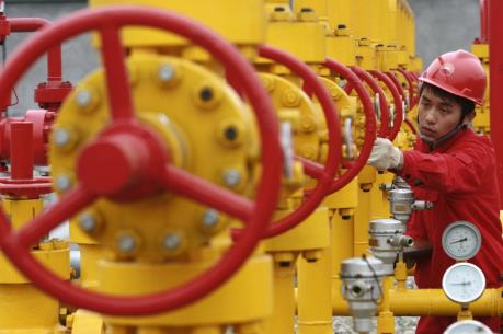 Giá dầu thế giới giảm nhẹ trước khi OPEC nhóm họp