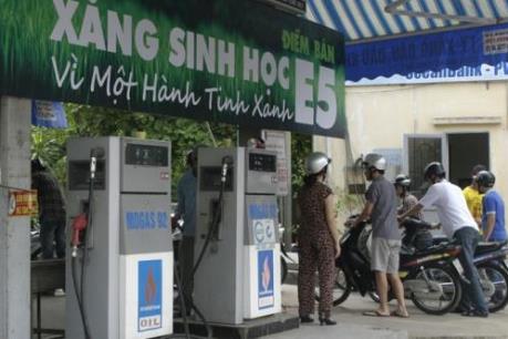 Xăng E5 có làm ảnh hưởng đến động cơ không?