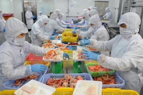 Sài Gòn Food khẳng định không xuất khẩu cá điêu hồng sang Australia