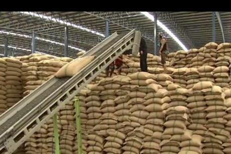 Thái Lan kỳ vọng vào mục tiêu xuất khẩu 9,5 triệu tấn gạo trong năm nay