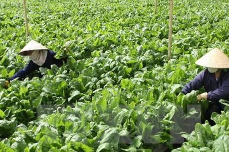 Bãi bỏ 11 văn bản quy phạm pháp luật trong lĩnh vực nông nghiệp và phát triển nông thôn