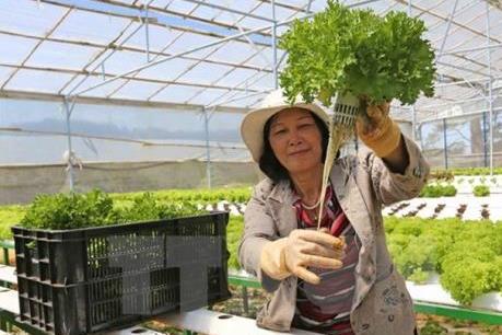 Xây dựng thí điểm 200 cửa hàng nông sản an toàn