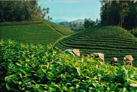 "Mở đường" cho công nghệ cao vào nông nghiệp