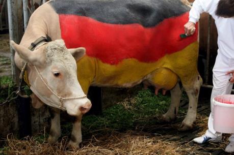 Đức cho phép nông dân được thỏa thuận về giá sữa