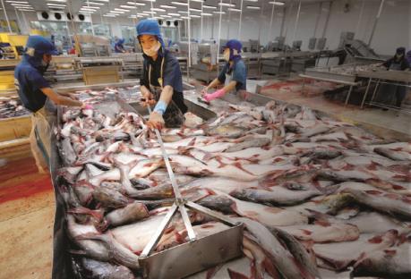 HVG: Lợi nhuận sau kiểm toán giảm 45%