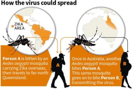 Australia: Phát hiện hai ca nghi nhiễm virus Zika tại bang Queensland