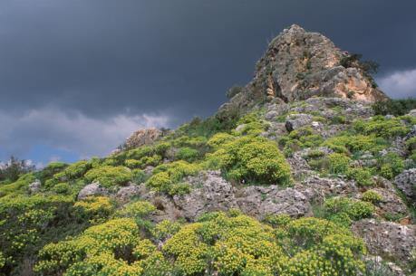 Phát hiện dấu tích lò nung thủy tinh 1.600 năm tuổi ở Israel