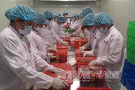 Gỡ vướng cho doanh nghiệp xuất khẩu quả vải bằng đường hàng không