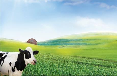 SIC đăng ký mua thêm 185.000 cổ phần Vinamilk