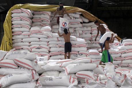 Philippines chưa nhập khẩu gạo trong những tháng tới