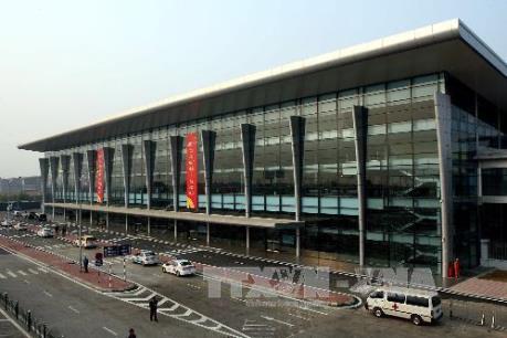 Lừa xin việc làm tại sân bay, lái xe chuyên chở phi hành đoàn bị phạt tù