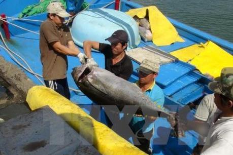 Xây dựng cơ chế hỗ trợ một lần cho đầu tư tàu cá xa bờ
