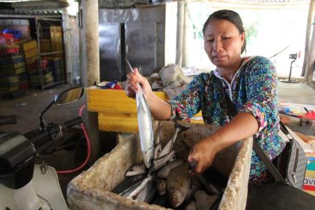 Chợ cá ế ẩm sau vụ cá nục nhiễm chất cực độc Phenol