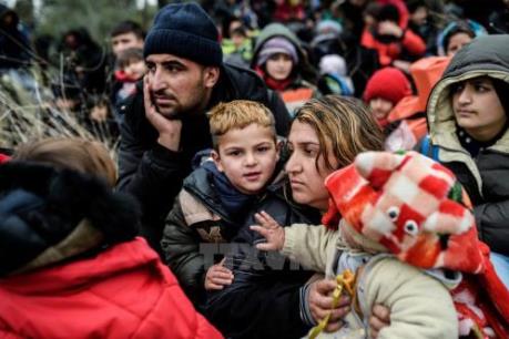 Châu Âu cần làm gì để thu hút nhân tài?