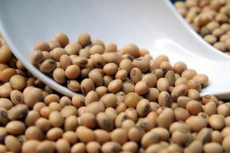 Điểm lại thị trường nông sản Mỹ tuần qua