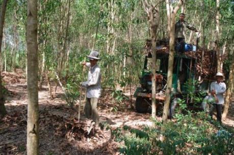 Phía sau những màu xanh trù phú