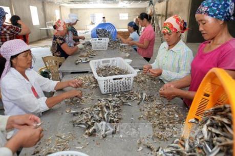 ADB hỗ trợ hoạt động thương mại cho doanh nghiệp nhỏ và vừa Việt Nam