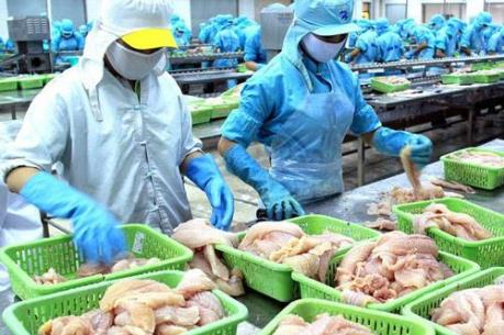 Thêm 12 cơ sở chế biến cá da trơn được xuất khẩu sang Hoa Kỳ