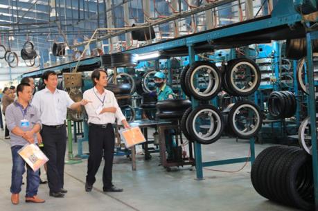 Cao su Đà Nẵng có cơ hội xuất khẩu sang Ấn Độ