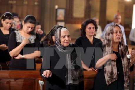 Vụ mất tích máy bay MS804: EgyptAir công bố trang web trợ giúp gia đình nạn nhân