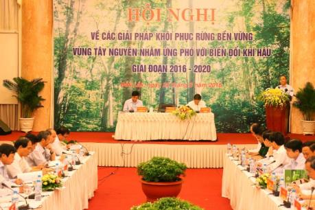 Chính phủ tuyên bố đóng cửa rừng tự nhiên