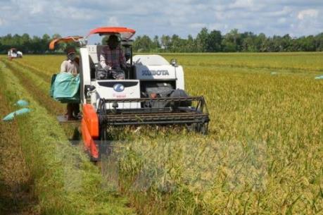 Ba thương vụ sáp nhập lớn trong ngành hóa nông thế giới