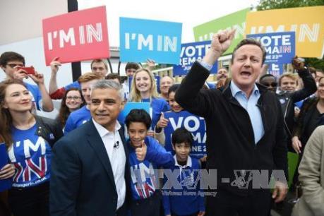 Bắt đầu cuộc trưng cầu dân ý tại Anh về tư cách thành viên EU