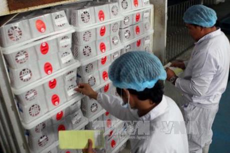 Hà Nội chiếu xạ lô vải xuất khẩu đầu tiên