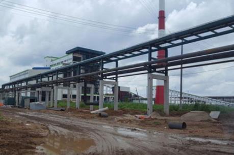 Thủ tướng chỉ đạo vụ Nhà máy giấy Lee&Man